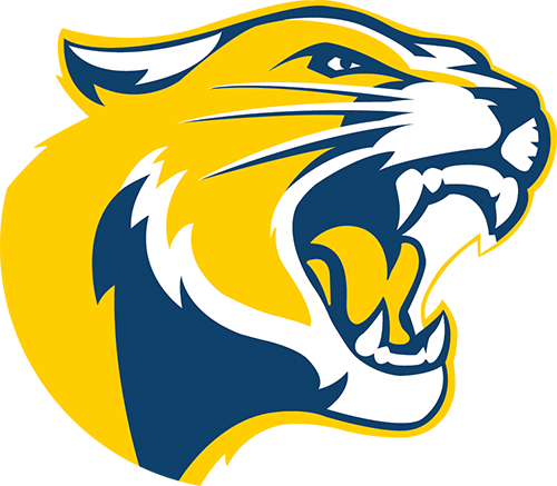 Cougar Head